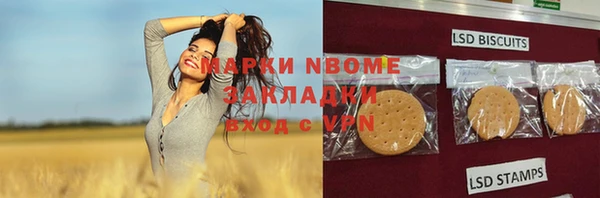 молекула духа Арсеньев