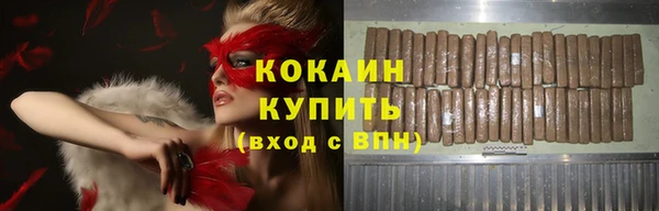 молекула духа Арсеньев
