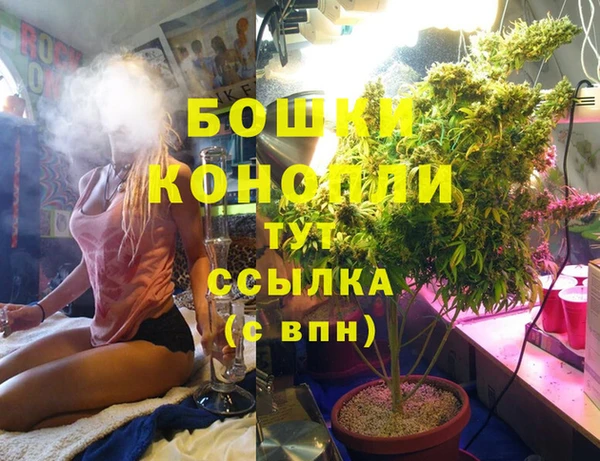 молекула духа Арсеньев